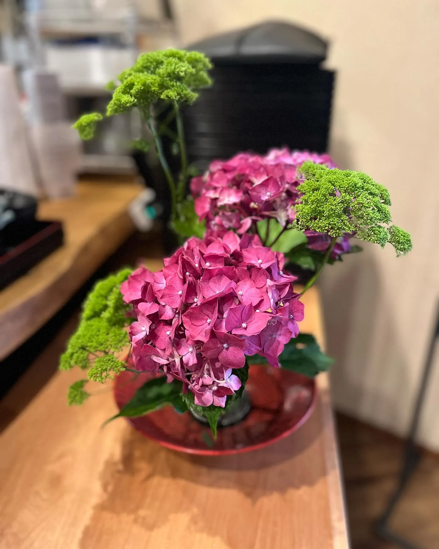 今週のお花💐